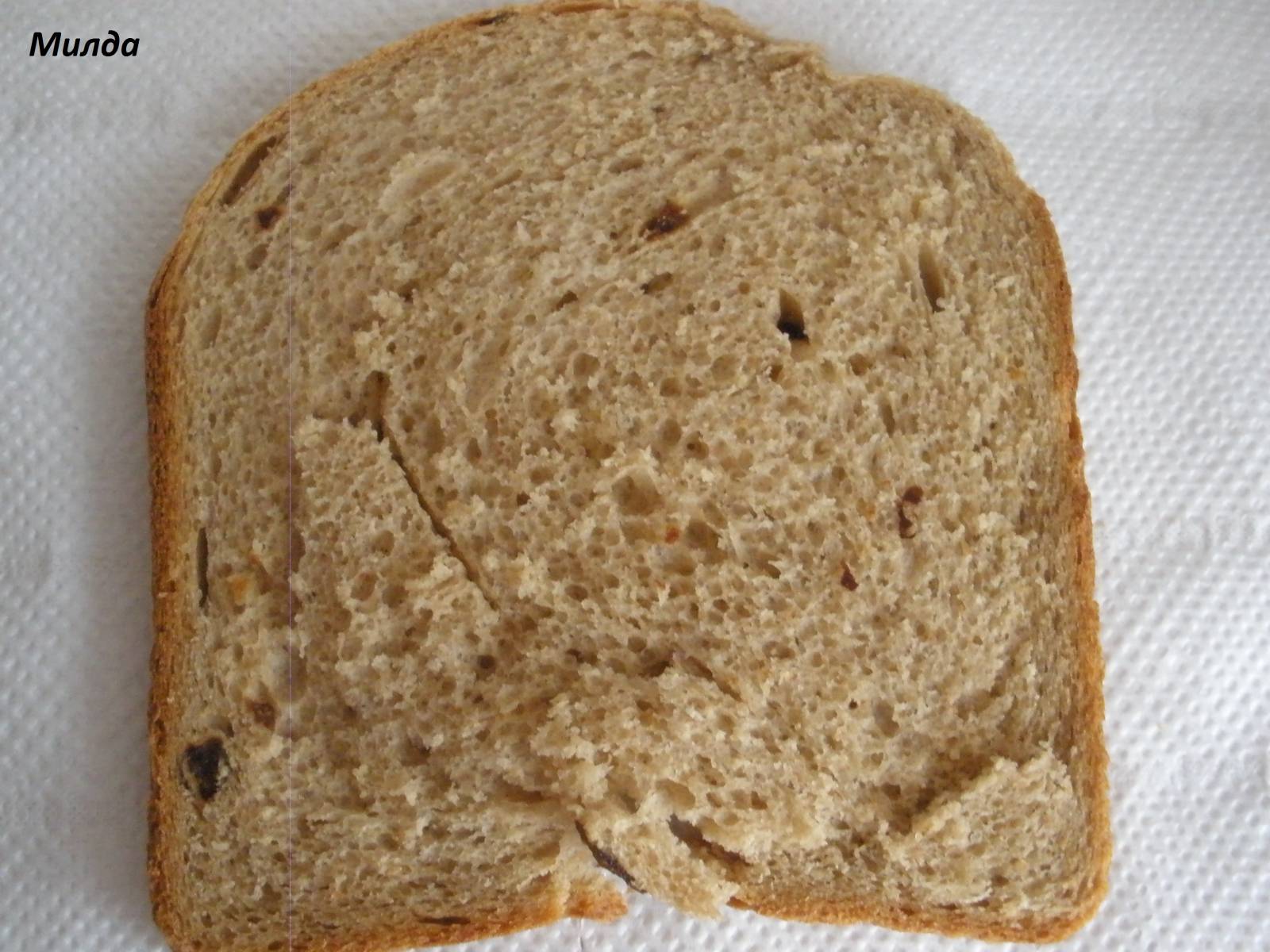 Pane alla birra nera (macchina per il pane)