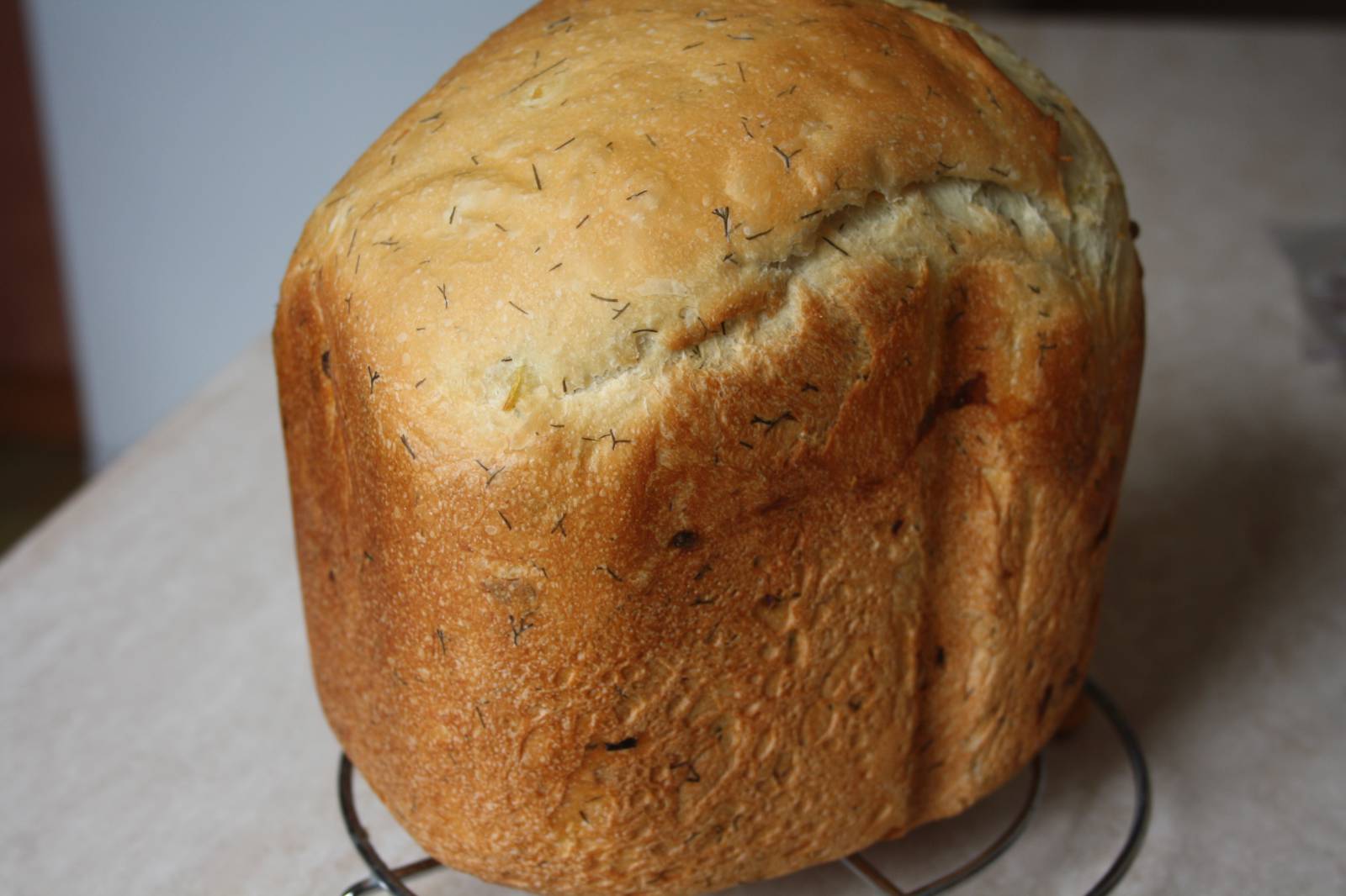 Pane alla cipolla e aneto (macchina per il pane)