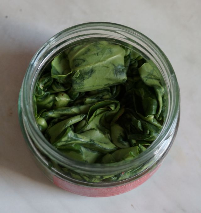 Fermented tea made from leaves of garden and wild plants (master class)