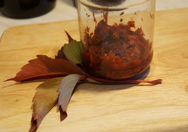 Té fermentado elaborado con hojas de jardín y plantas silvestres (clase magistral)