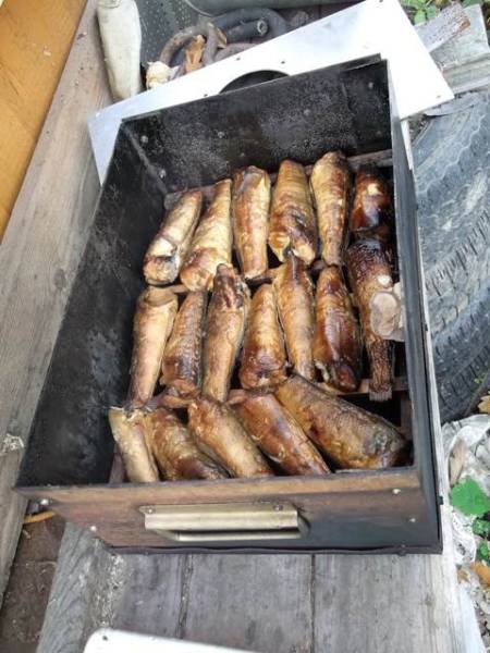 Roken in een airfryer - technieken en rookbereidingen