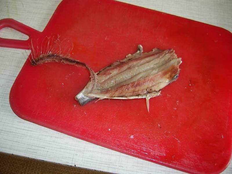 Capelin in pastella