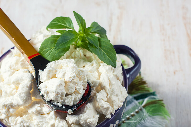 Homemade sourdough cottage cheese