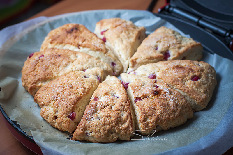 Scones met granaatappel (pizzamakers Princess 115000)