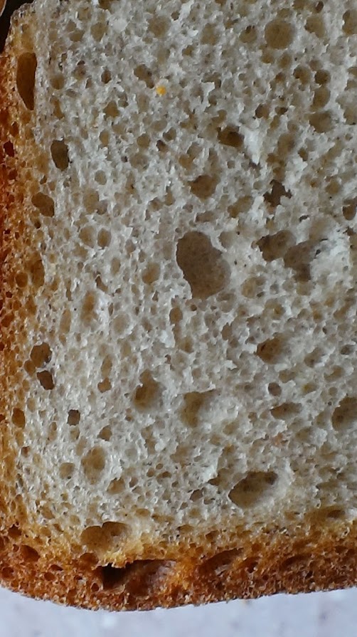 Pane nero pigro