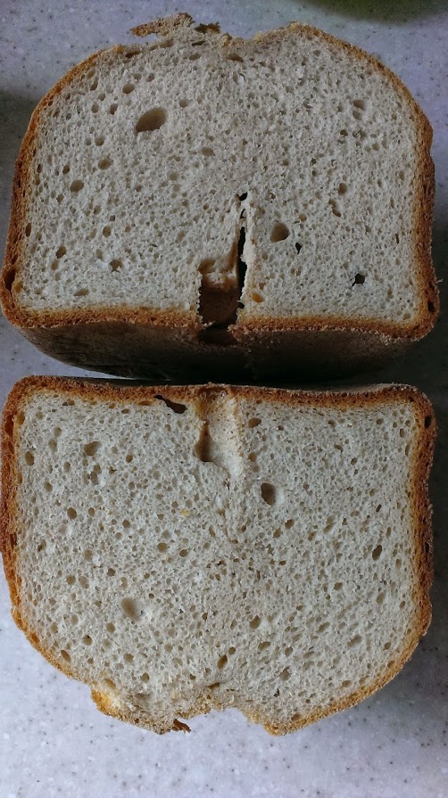 Pane nero pigro